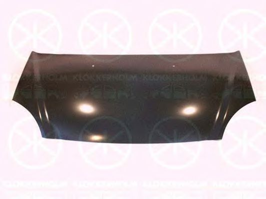 капак на двигателя 2938281A1