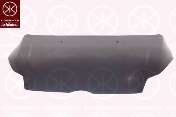 капак на двигателя 2536280A1