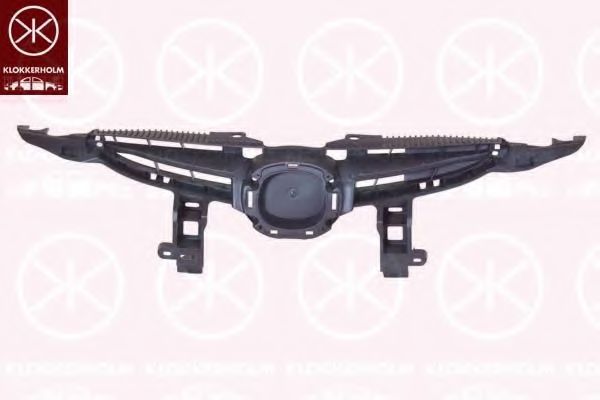 решетка пред радиатора 3421991A1