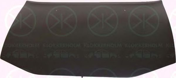 капак на двигателя 6409280A1