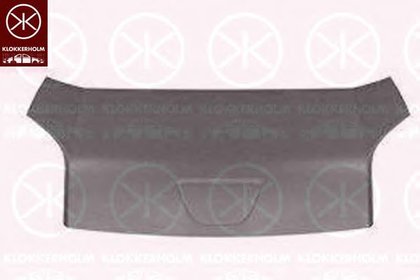 капак на двигателя 5553280A1