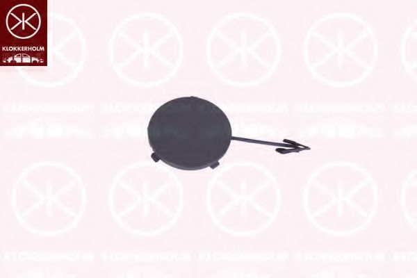 капак, кука на теглича 2555963A1