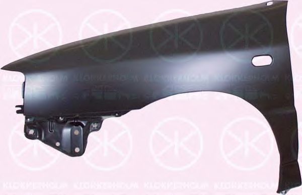 калник 6615313A1