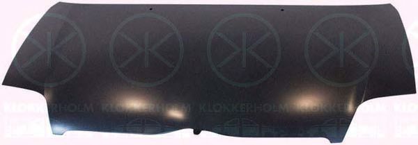 капак на двигателя 8116281