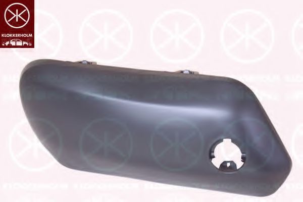 покривна/защитна лайсна, броня 5514924A1