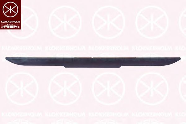 споилер 2506225A1