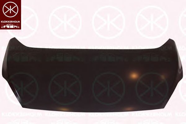 капак на двигателя 2506280