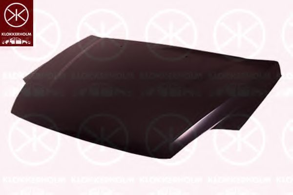 капак на двигателя 2556281