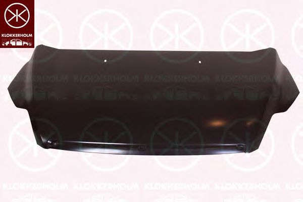 капак на двигателя 2533281A1