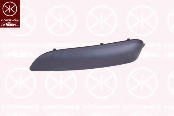 покривна/защитна лайсна, броня 5519926